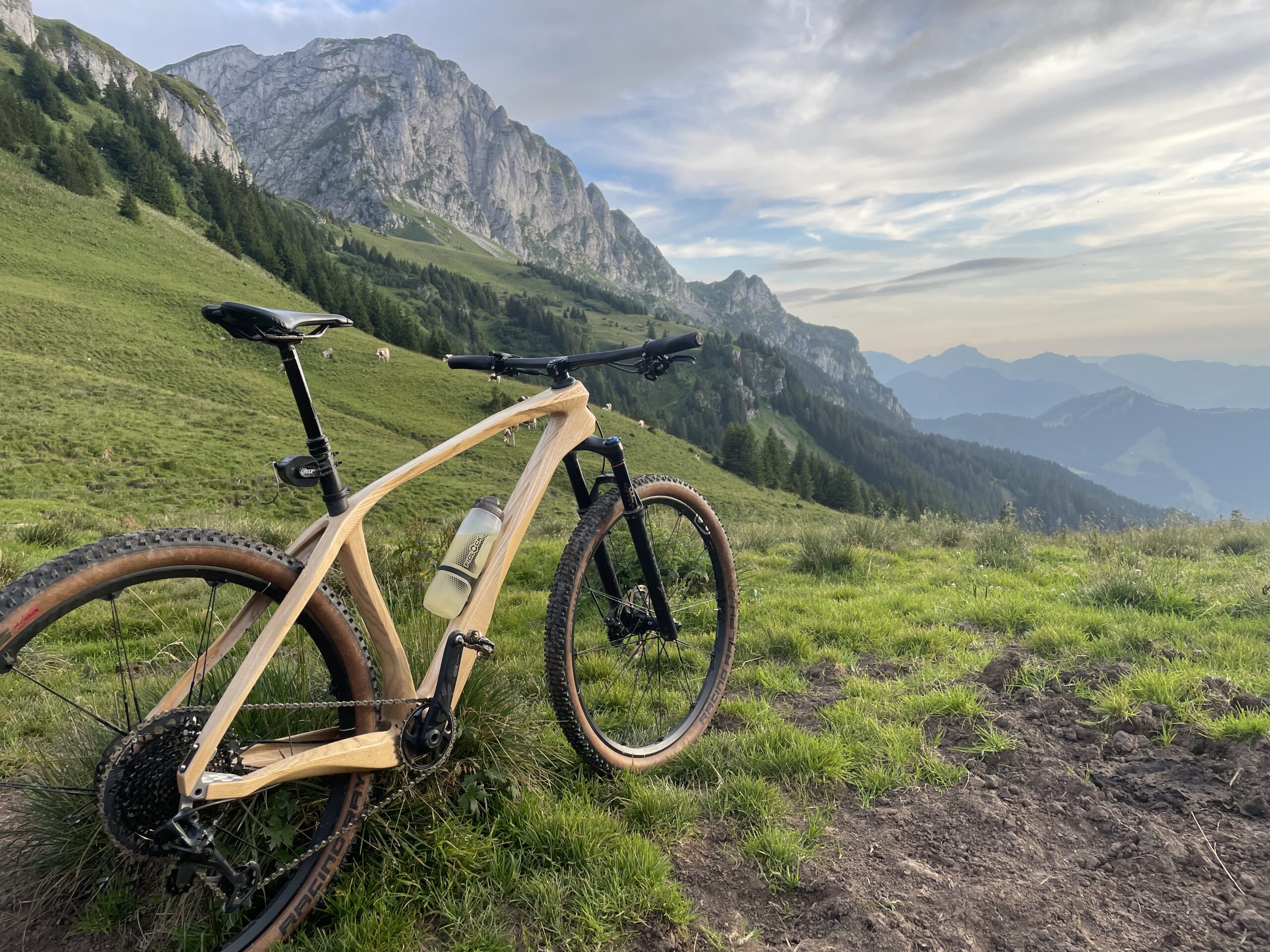 Wooden bike in forest